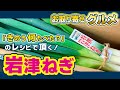 【お取り寄せ】#5 日本三大ねぎ「岩津ネギ」を 「きのう何たべた？」のレシピで頂く！【グルメ】