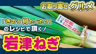 【お取り寄せ】#5 日本三大ねぎ「岩津ネギ」を 「きのう何たべた？」のレシピで頂く！【グルメ】