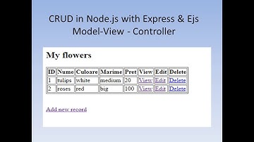 Node.js MySQL CRUD MVC Model - View - Controller
