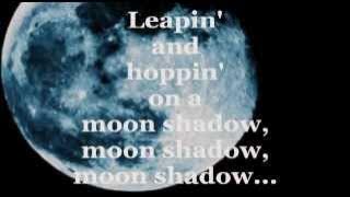 MOONSHADOW (Lyrics) - CAT STEVENS