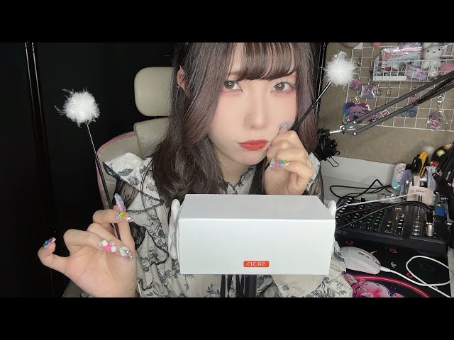 ASMR ガリガリ高速雑耳かき【竹耳かき、耳介、爪、梵天、etc…】