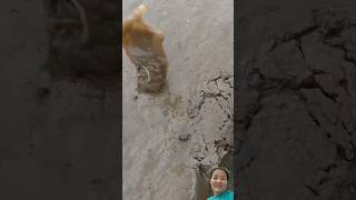 Thụt hang bắt dính tôm tít ngon #shorts #shortvideo #short #shortsvideo
