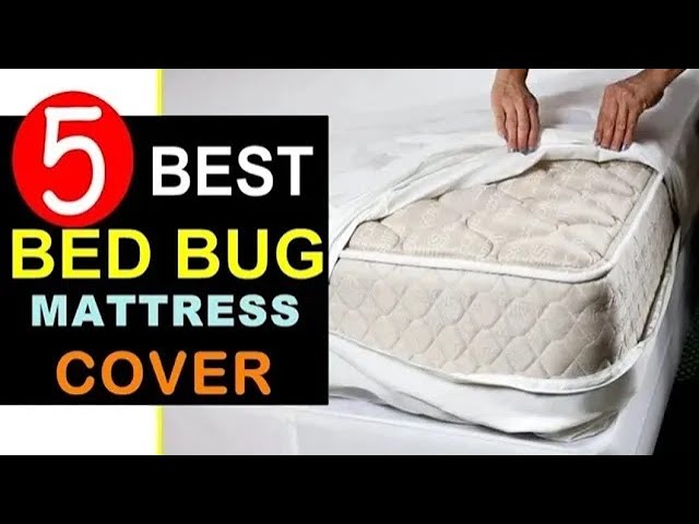 9 of the best bedbug mattress covers