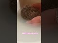 Badetag für #Igel Baby #micki