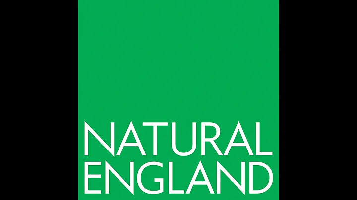 The Green Infrastructure Standards