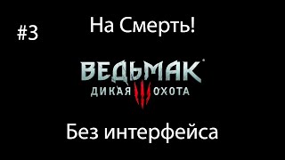 Ведьмак 3: Дикая Охота (На смерть! Без интерфейса) #3. Аудиенция