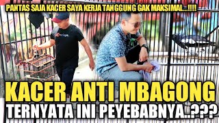 KACER ANTI MBAGONG TERNYATA INI PENYEBABNYA..!!! MBAGONG CHANNEL | DR KACER | WANTO BARAK