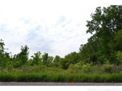 75361 True, Armada, MI home video tour