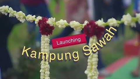 WISATA KAMPUNG SAWAH KOTA SEMARANG