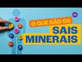 Quiz sobre Sais Minerais