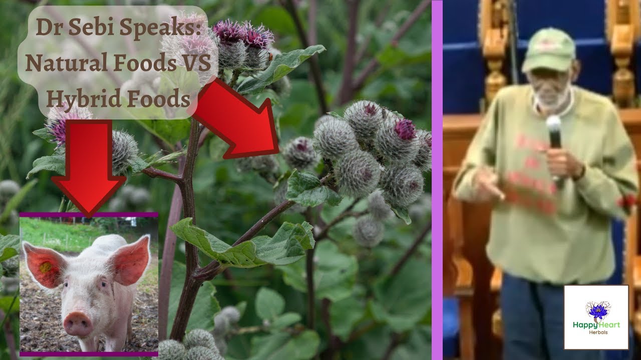🌿 Dr Sebi Speaks on Natural Foods VS Hybrid Foods - Electric Alkaline Mucus Free Vegan Diet 🌿