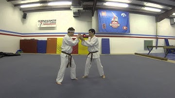 Uechi Ryu Karate - Dan Kumite