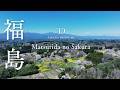 [SAKURA DRONE 4K] 祭田のサクラ（Matsuridano Sakura）福島県二本松市2｜桜ドローンプロジェクト2026