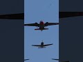 Italian Planes Flyby! 🇮🇹 Falco F.8L & Piaggio P.166 #Shorts #Aviation #FormationFlight