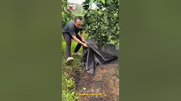 Amazing Mulching Sheet