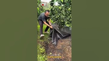 Amazing Mulching Sheet