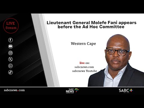 Parliament Ad Hoc Committee Lieutenant General Molefe Fani