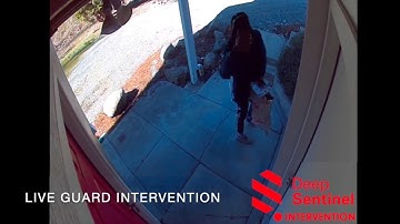 Deep Sentinel Law Enforcement Introduction