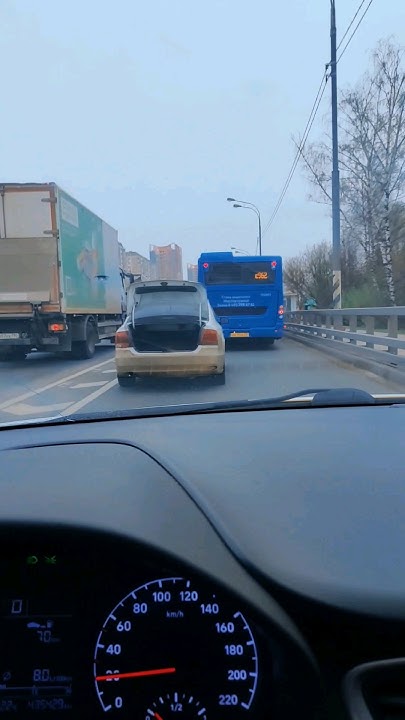 Выделенная полоса — Википедия