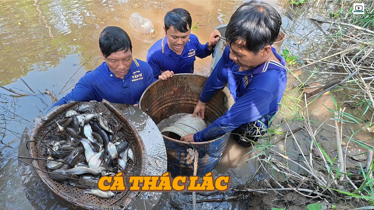 Lặn Sông dở BÔN , Bội Thu Cá Thác Lác | Út Phiêu Lưu