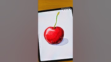 Simple Fresh Cherry 🍒 #procreate #shorts #watercolor #art