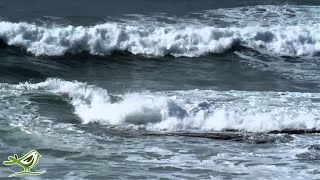 3 Hours of Soothing Music | Flute | Piano | Ocean | Background Sleep Music