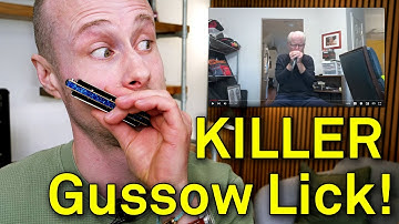 Learn your favourite blues harmonica licks!