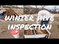 Hive inspections of honey bees  melliferaboost dusted colonies  california commercial beekeeper