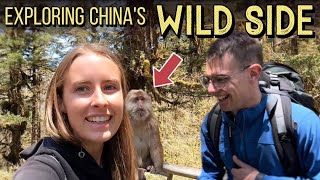 Meet a German graduate student living deep in the Chinese wilderness! 🌲 外国研究生长住在中国的深山中，是一种什么体验？