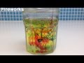 How To Do Fireworks In A Jar Science Experiment How To Do Fireworks In A Jar Science Experiment