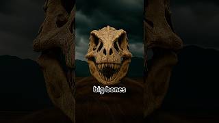 Were Dinosours Really That Big?