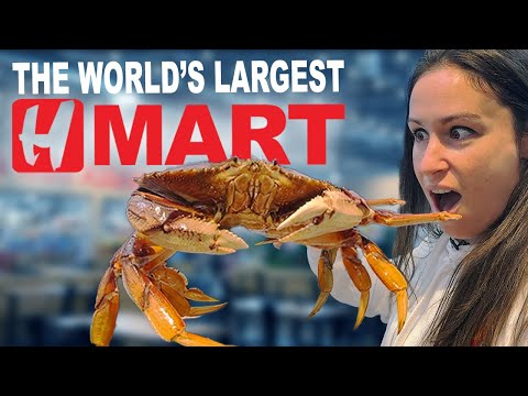 Everything You NEED to Know About The WORLD'S LARGEST HMART
