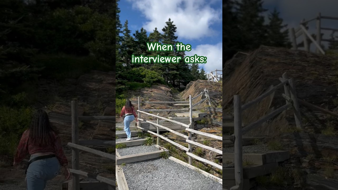 The struggles of a Software Developer turned Technical Project Manager #coding #funny