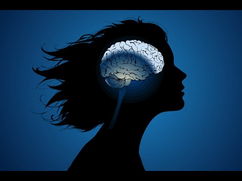 Video: How To Train Your Brain