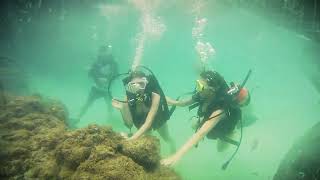 Two Women Go Scuba Diving For The First Time