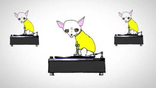 WIERD DOG LOOKING MUSIC GIF