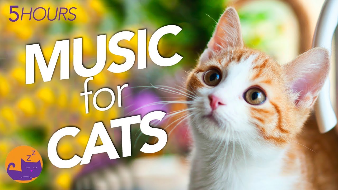 Instant Relaxation Music For Anxious Cats Fast Sleep Song 4K Photo Inspiration