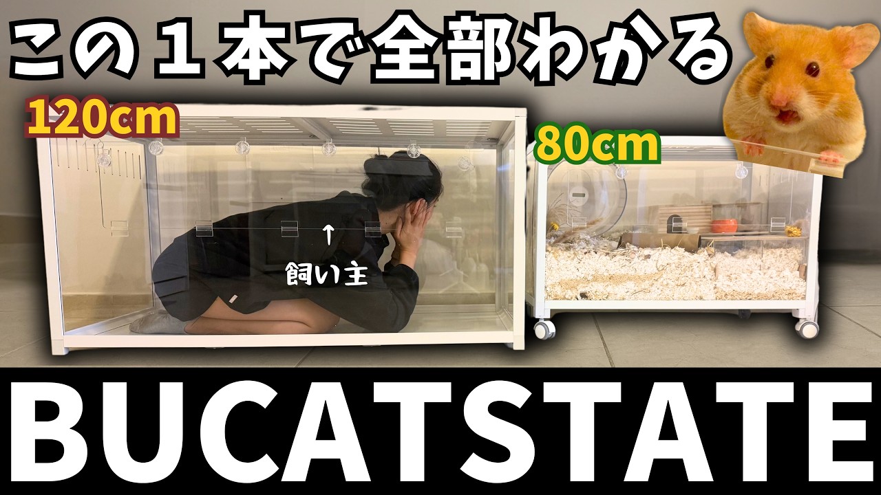 BUCATSTATE Metal Cage 3.0 vs 2.0 | The Complete Review After 15