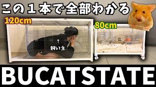 BUCATSTATE Metal Cage 3.0 vs 2.0 | The Complete Review After 15