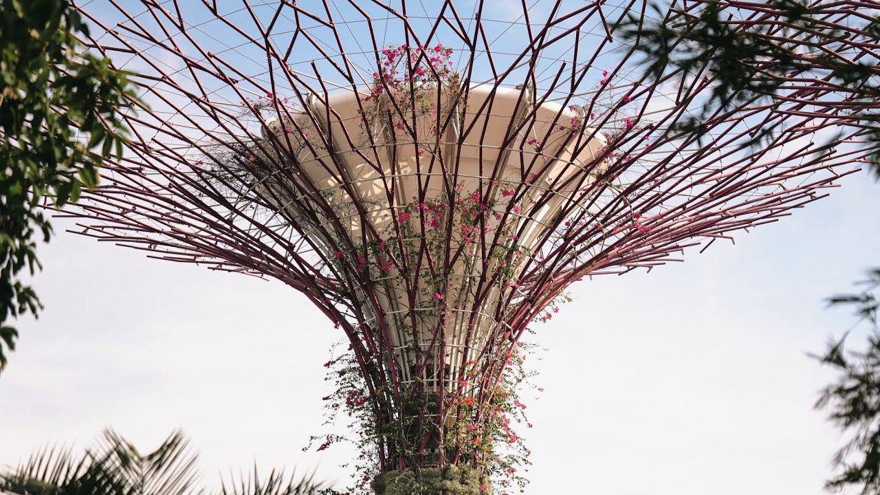 Singapore Road Cycling | Canyon Aeroad | Osmo Action 4 | Marina Bay, Gardens by the Bay, ECP!