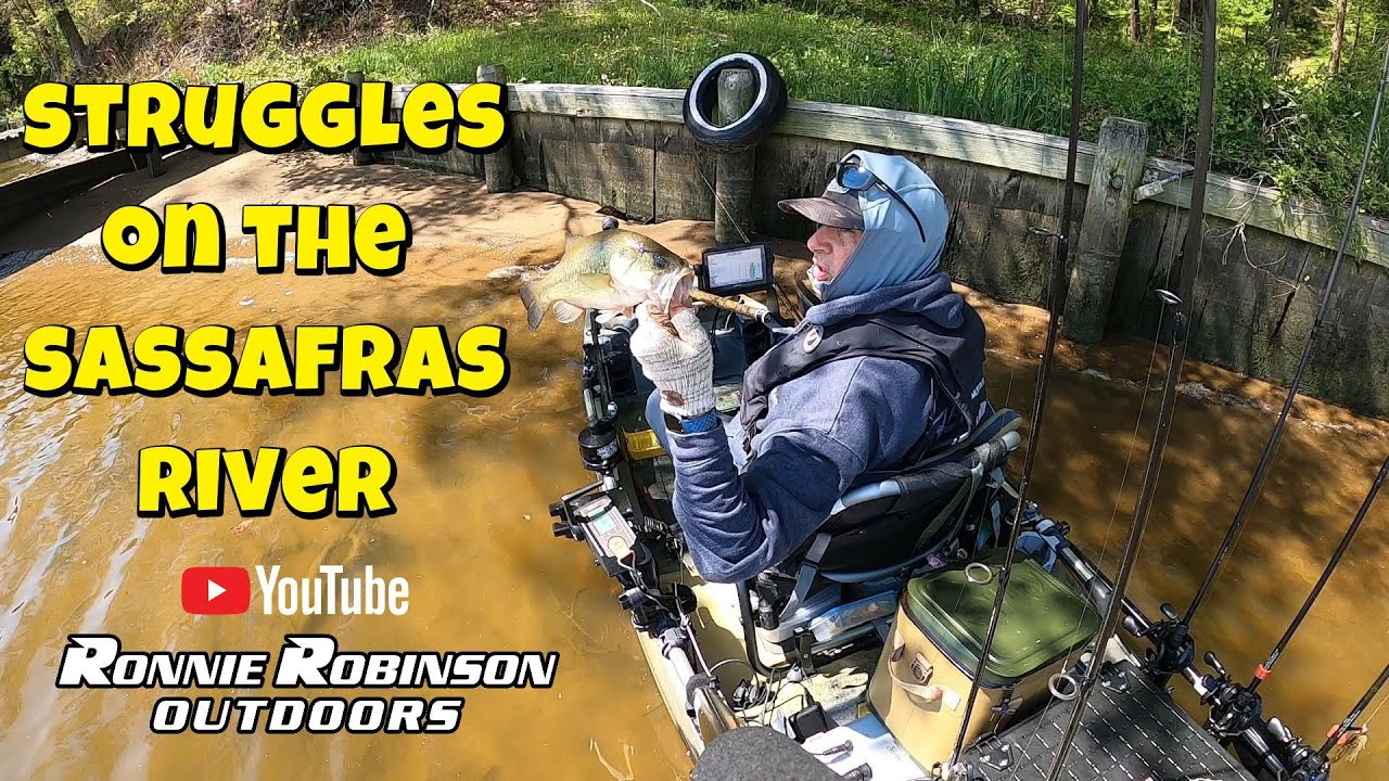 Struggles on the Sassafras