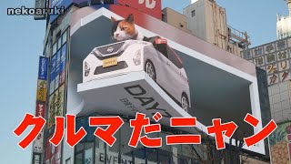4K ネコ歩き～新宿巨大ネコ・日産デイズ・ノーカット版