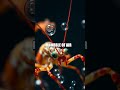 The Extraordinary Visual World of the Mantis Shrimp