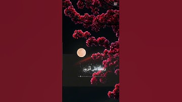 #القرآن_الكريم #quran #quran #اكسبلور #حالات_واتس #لايك #تلاوة_خاشعة #راحة_نفسية #خشوع