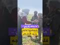 فلسطينية تتصدى لهجوم مستوطنين على تجمع خربة مكحول في الأغوار الشمالية بالضفة الغربية mp3