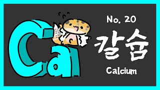 No.020 칼슘 (Calcium, Ca)