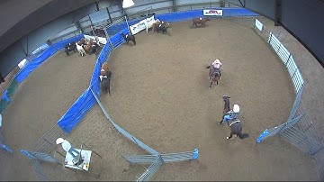 Big Sky Ranch Sorting Saddle Series #6 - #8 HC Ranch Hand - Round #1 - Ride #56