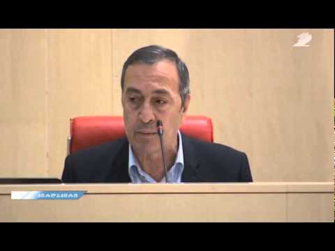 ფრიდონ საყვარელიძის შეკითხვა სახალხო დამცველს პარლამენტის სხდომაზე