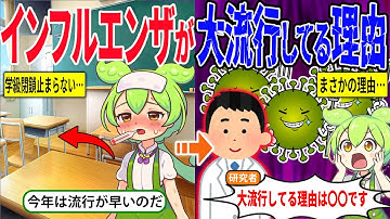 2025年のインフルエンザが大流行してる本当の理由がヤバイ…ずんだもん＆ゆっくり解説】
