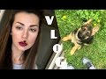 VLOG: ДЕВУШКАМ СМОТРЕТЬ! МОЯ БОЛЕЗНЬ! НОВЫЙ ЧЛЕН СЕМЬИ! НОВИНКИ КОСМЕТИКИ ЖЕНЯ ГЕЙН